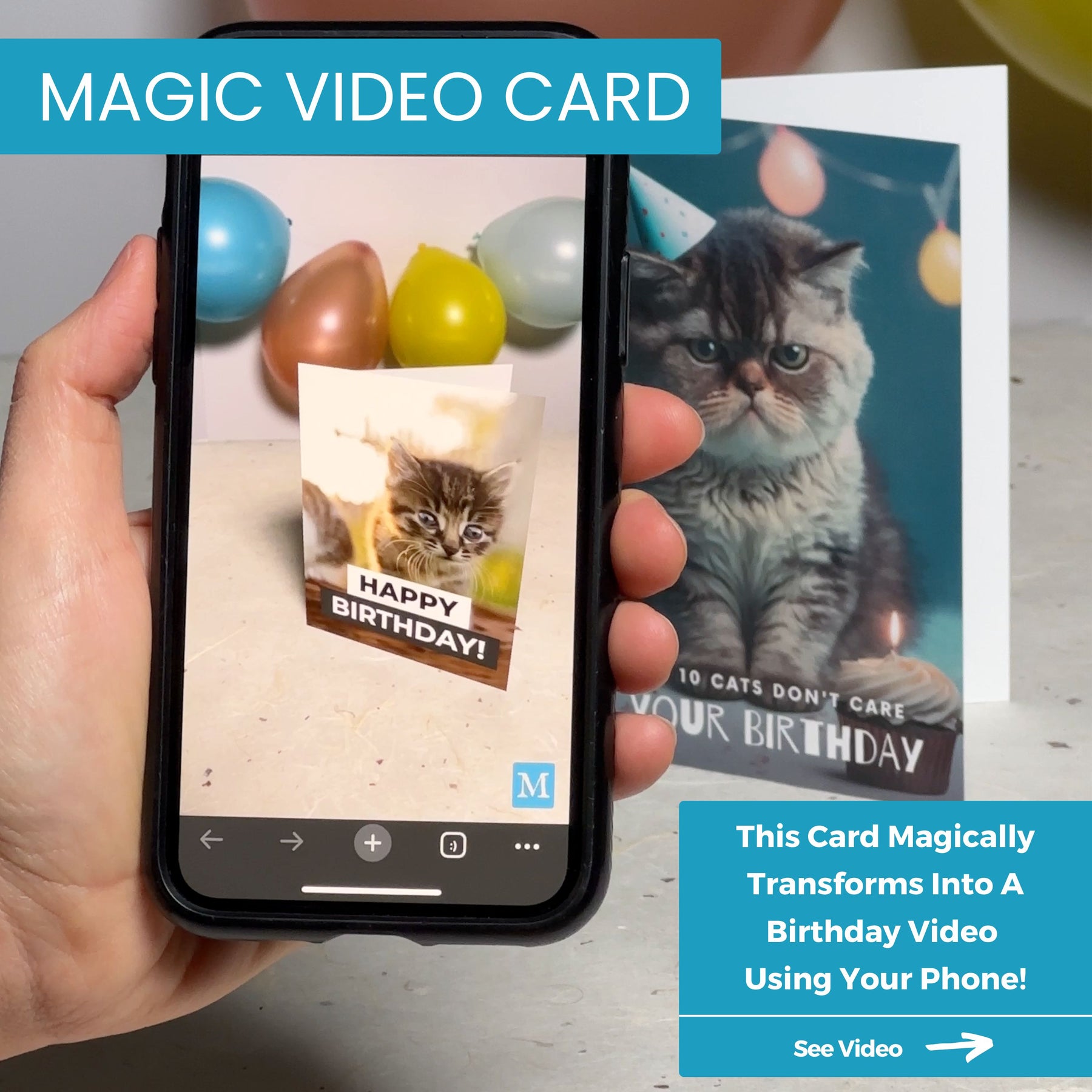 Cats Don't Care It's Your Birthday | Magic Birthday Card