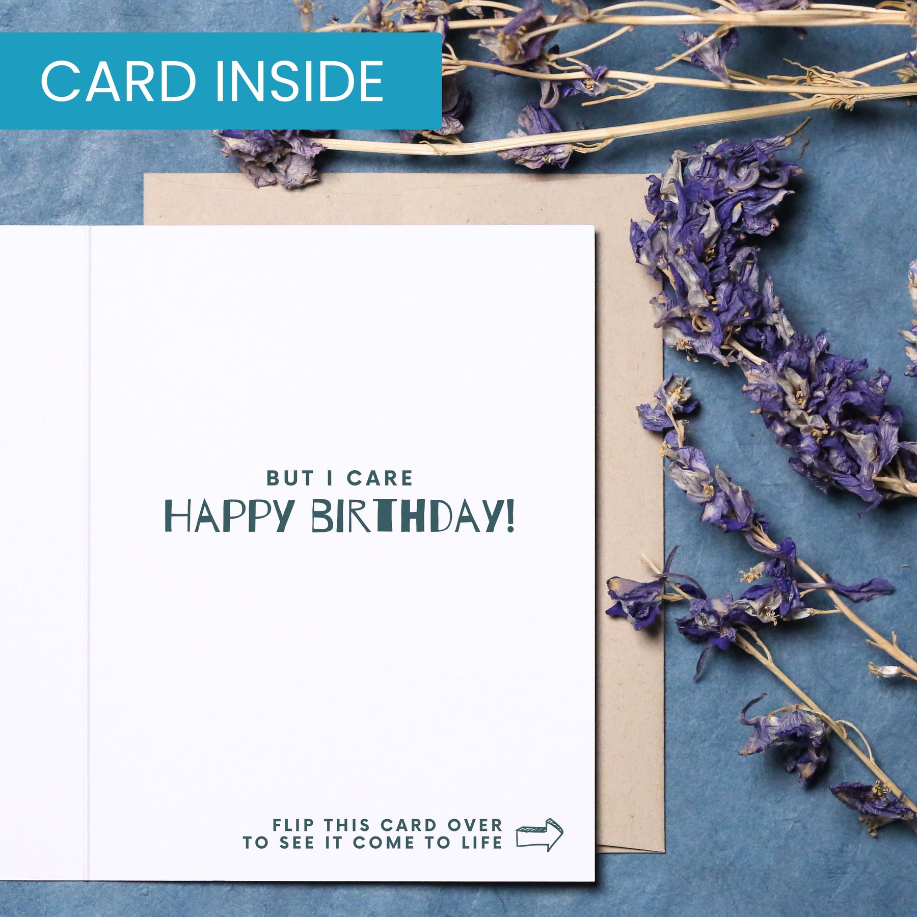 Cats Don't Care It's Your Birthday | Magic Birthday Card