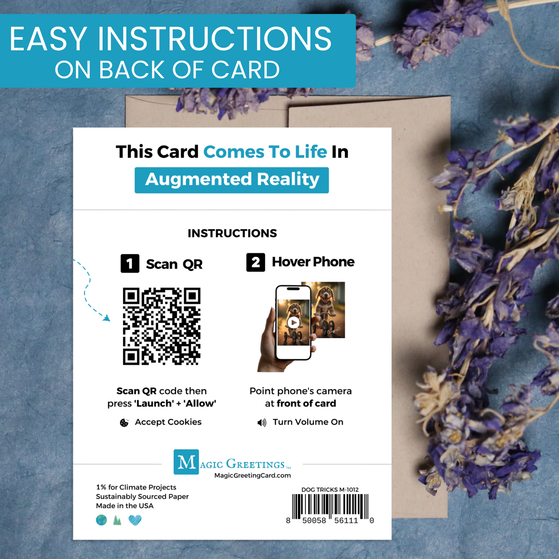 Dog Tricks | Magic Congratulations Card