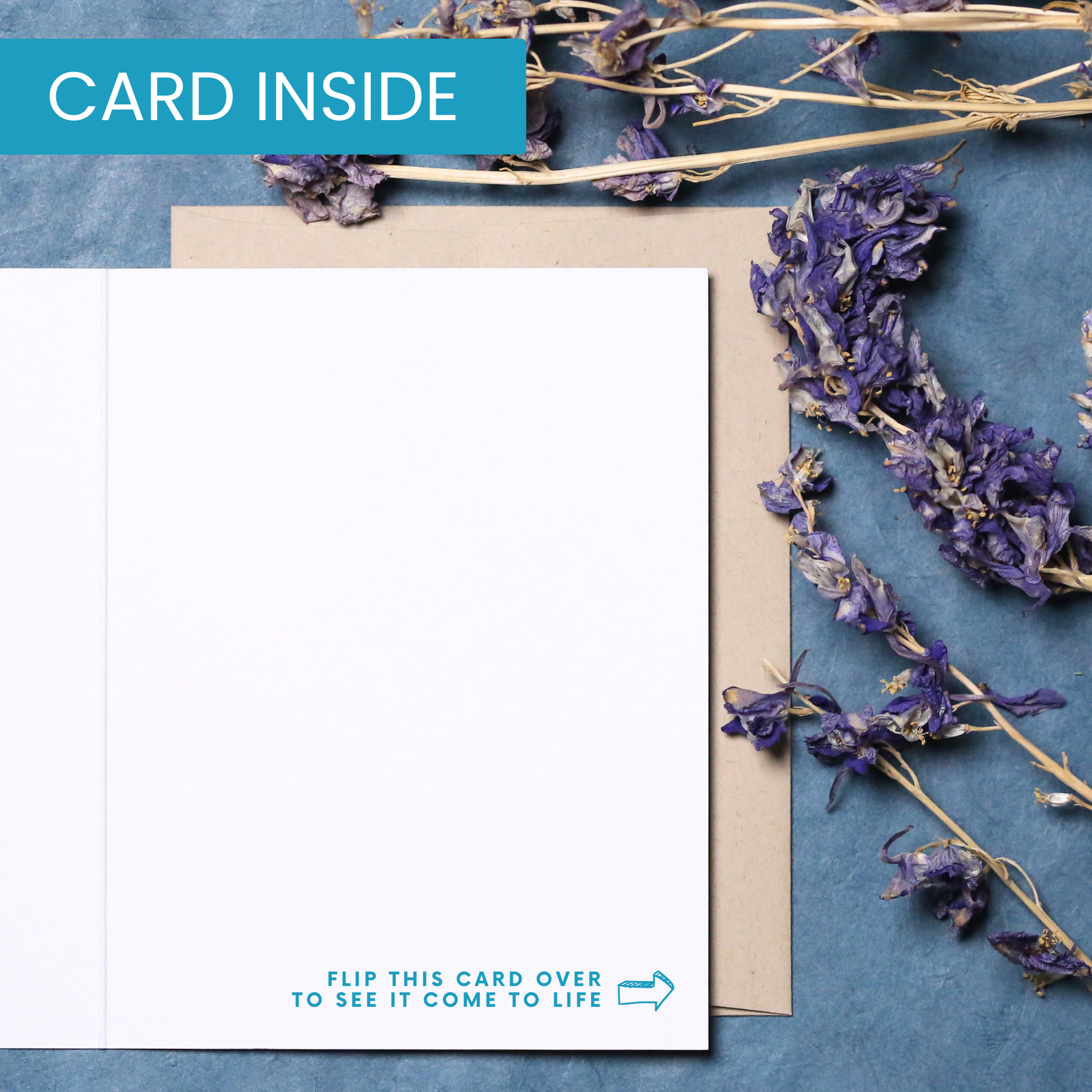 Dog Tricks | Magic Congratulations Card