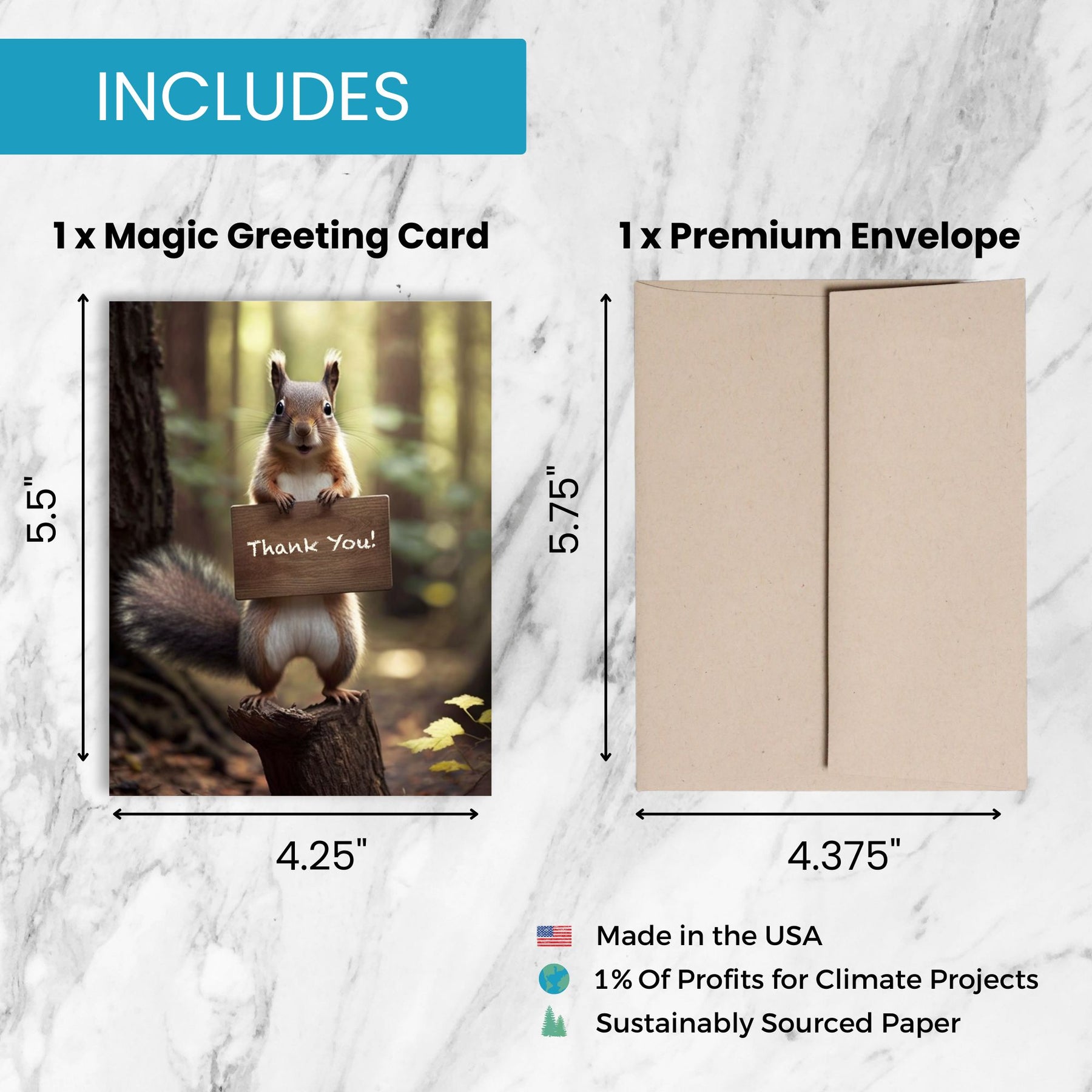 Squirrel Thank You | AR Video Thank You Card