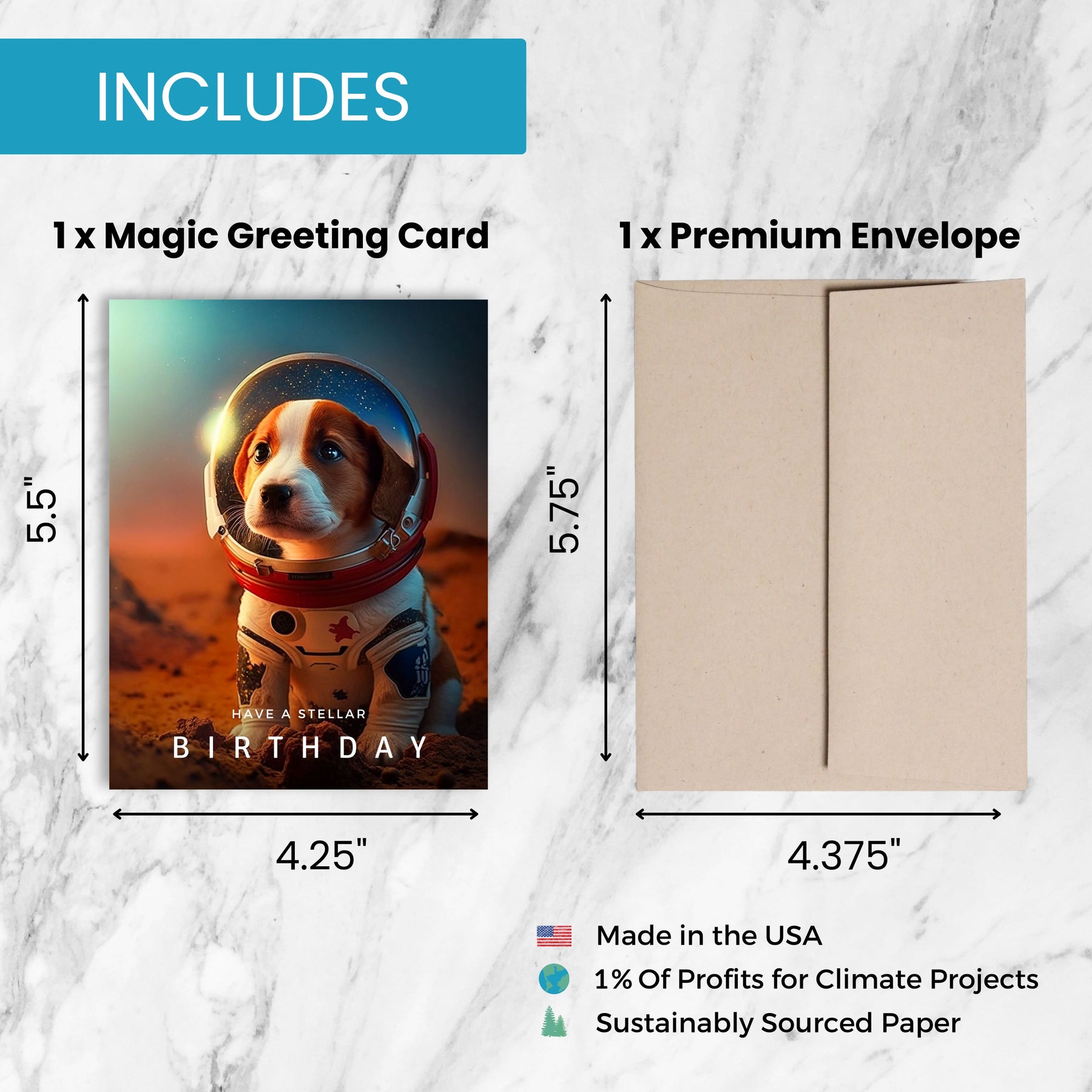 Space Dog | AR Video Greeting Card