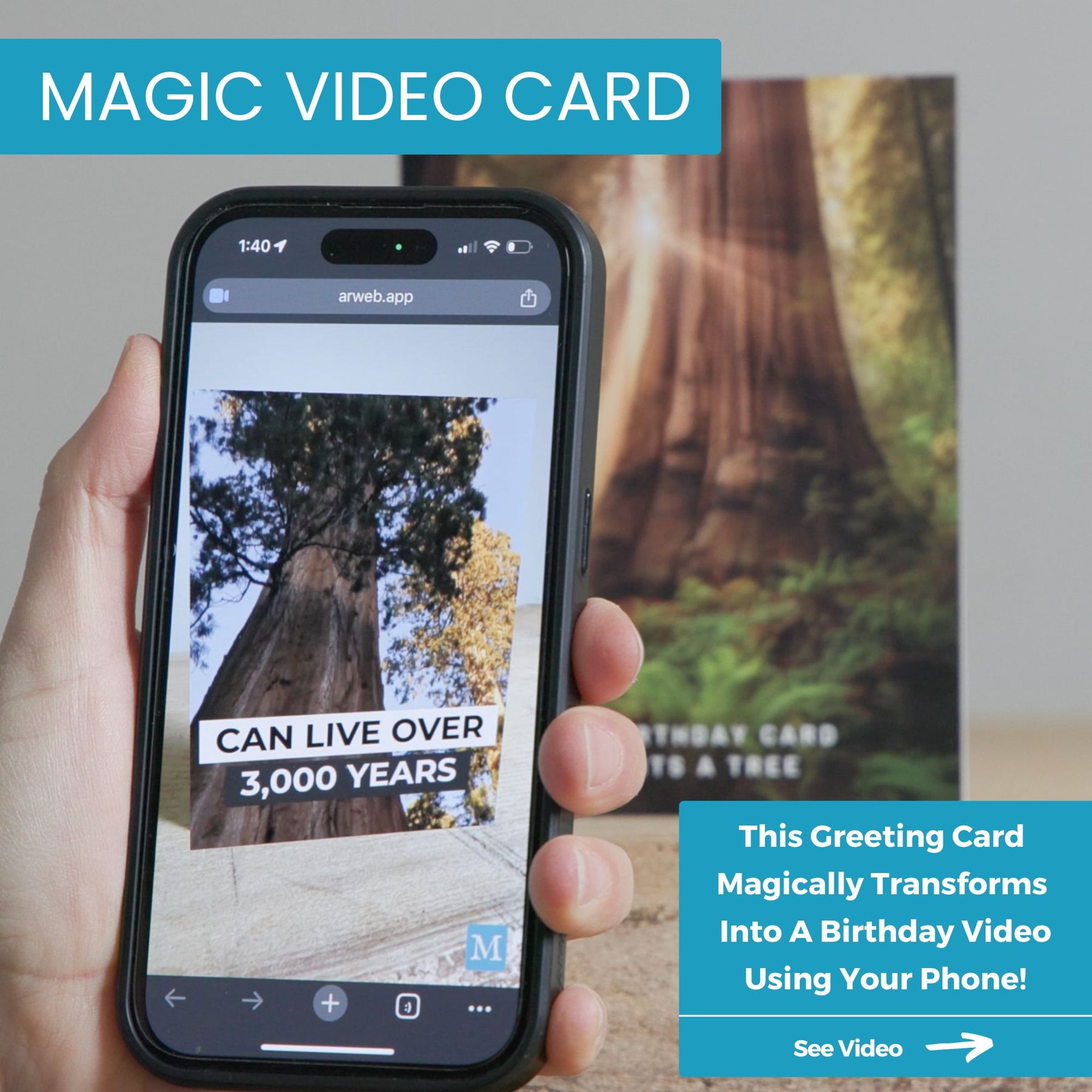 Redwood Plant A Tree | Magic Birthday Card