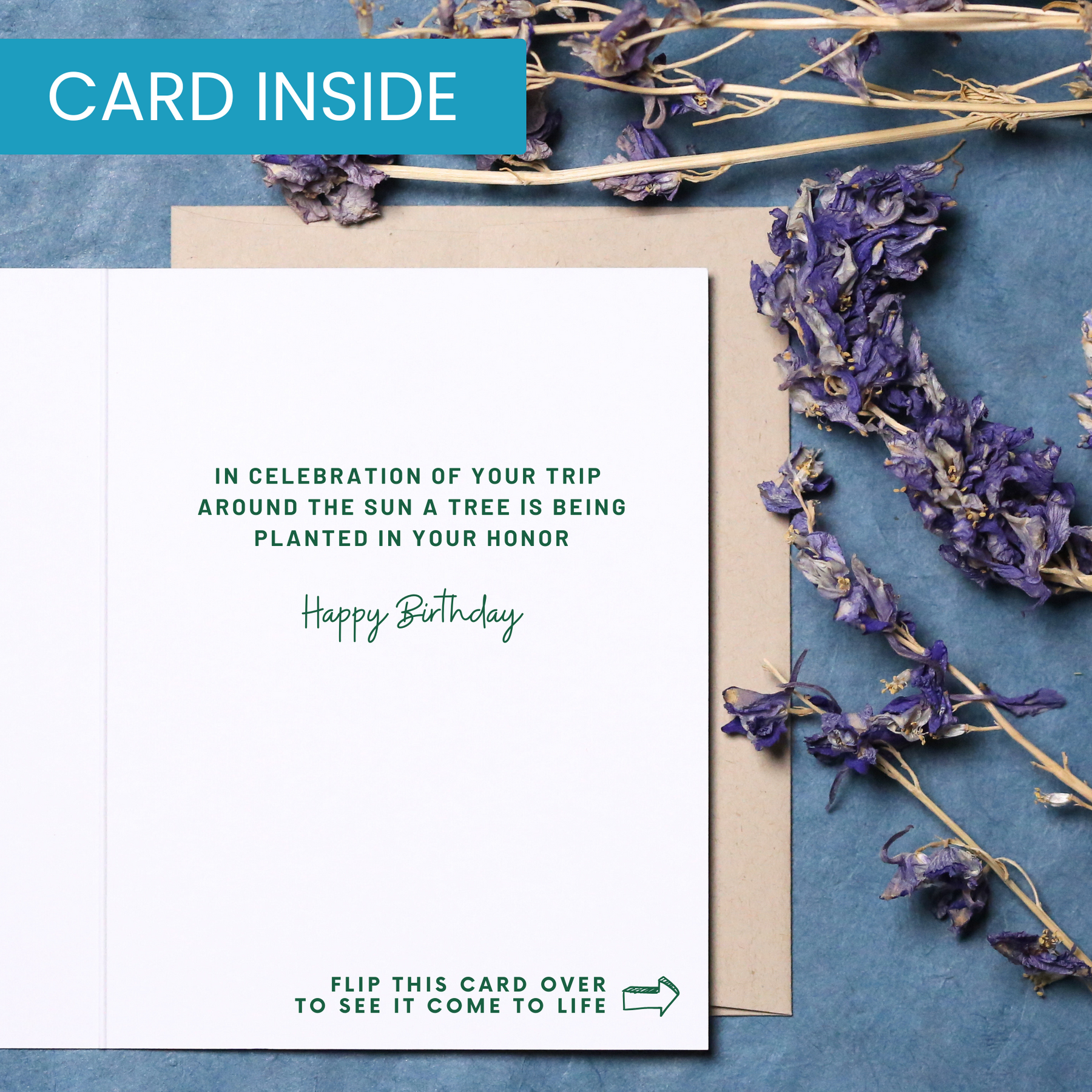 Redwood Plant A Tree | Magic Birthday Card