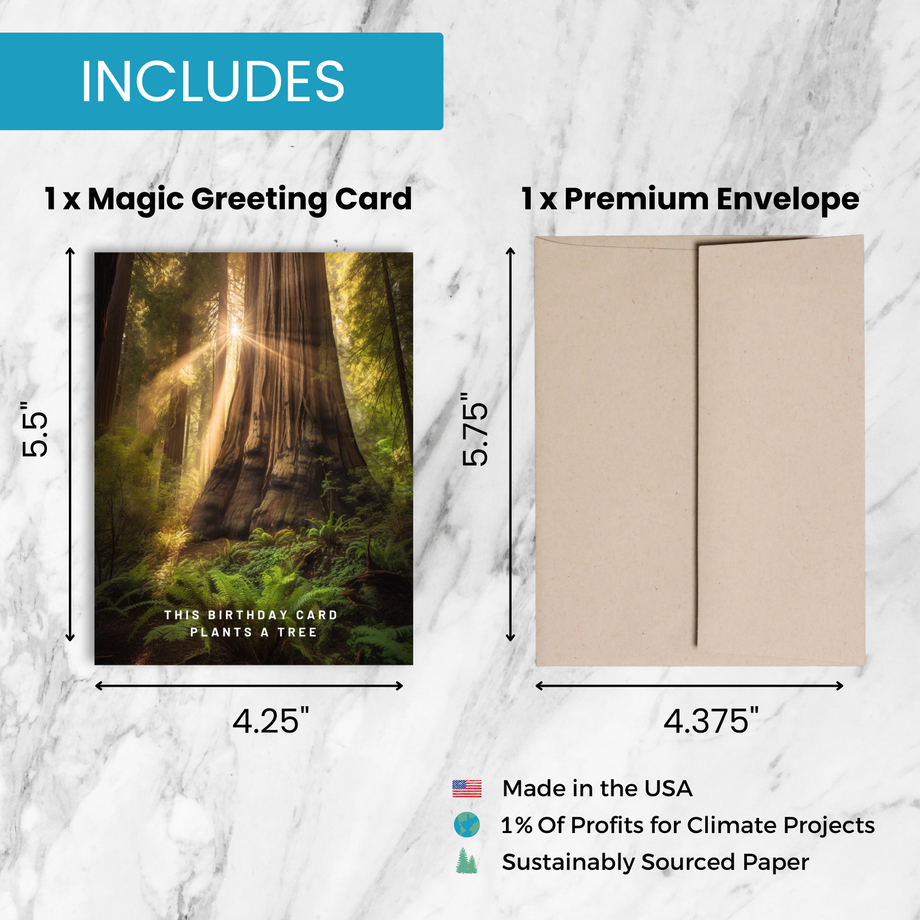 Redwood Plant A Tree | Magic Birthday Card