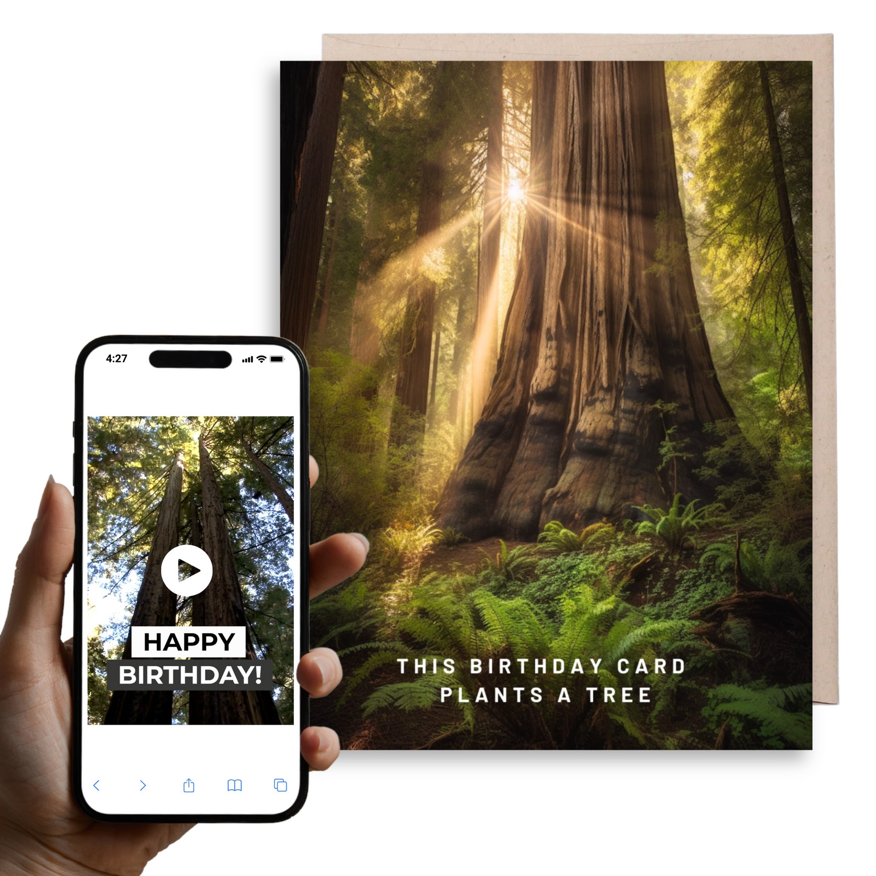 Redwood Plant A Tree | Magic Birthday Card