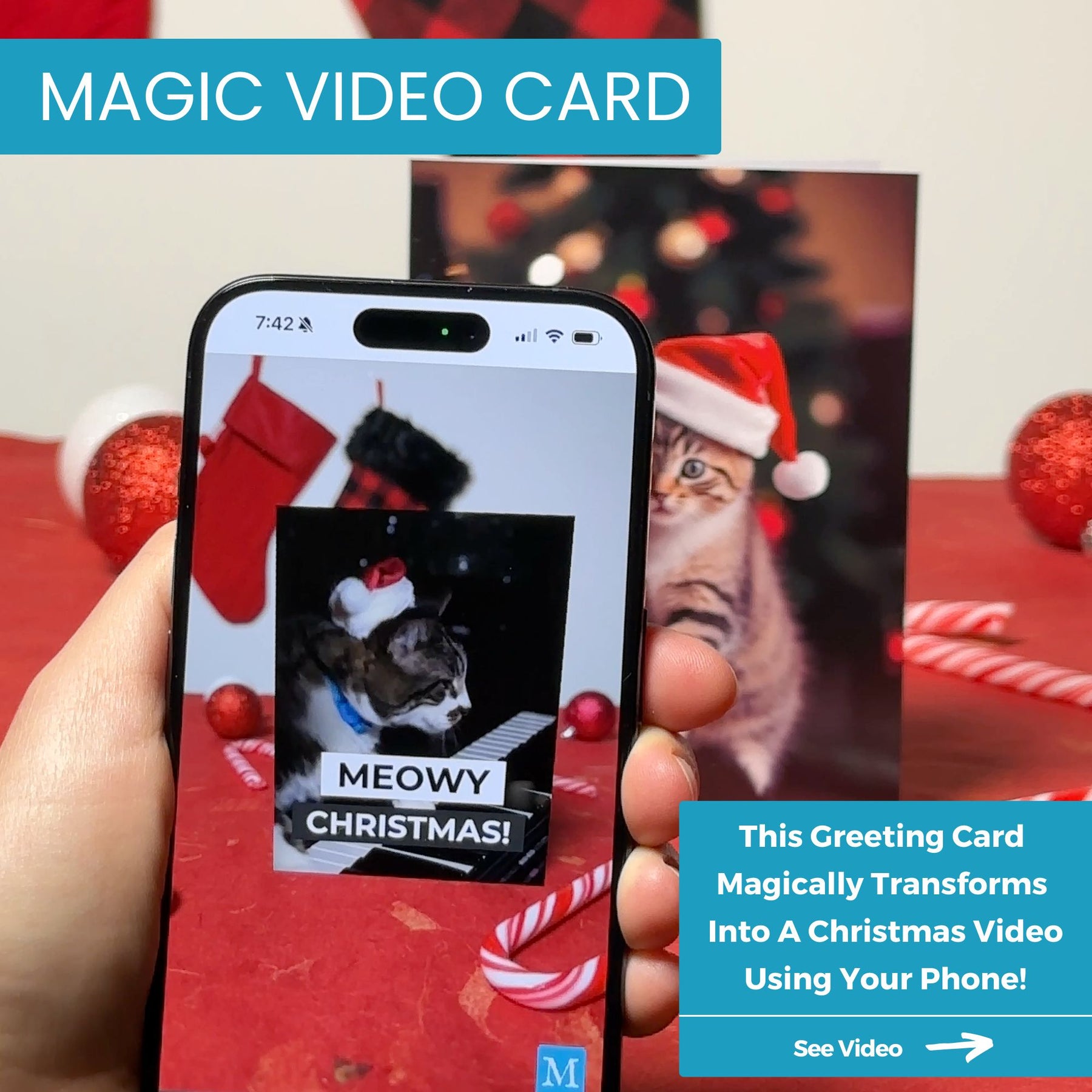 Xmas Piano Cat | AR Video Christmas Card