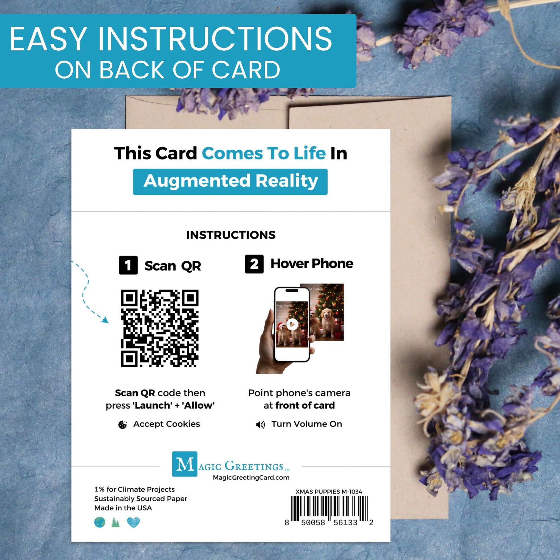 Xmas Puppies | AR Video Christmas Card