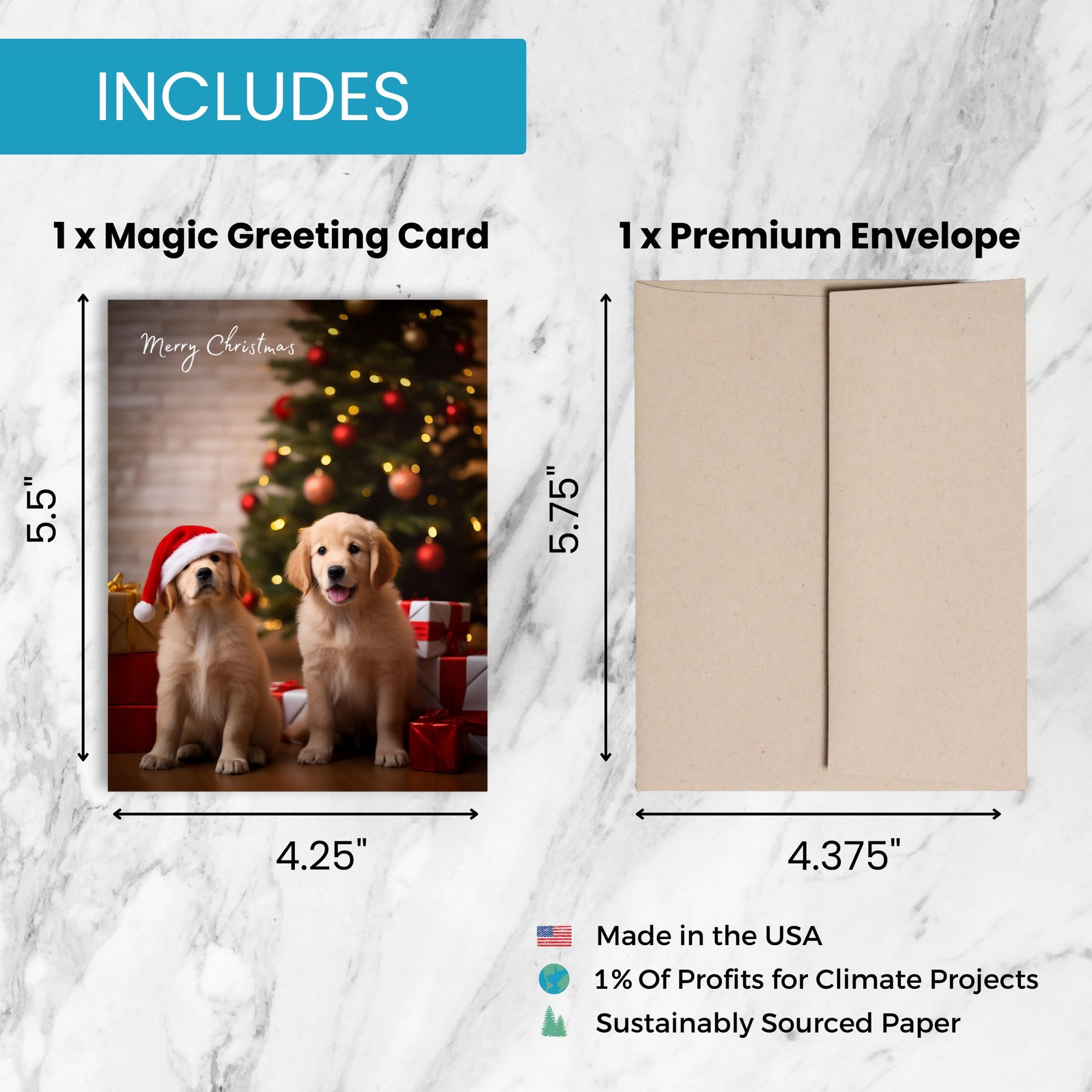 Xmas Puppies | AR Video Christmas Card