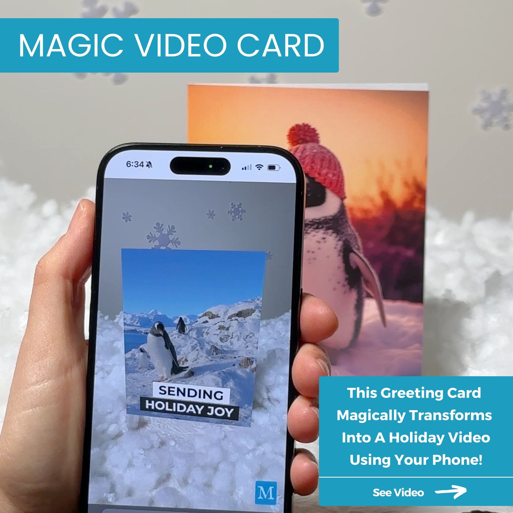 Holiday Penguins | AR Video Holiday Card