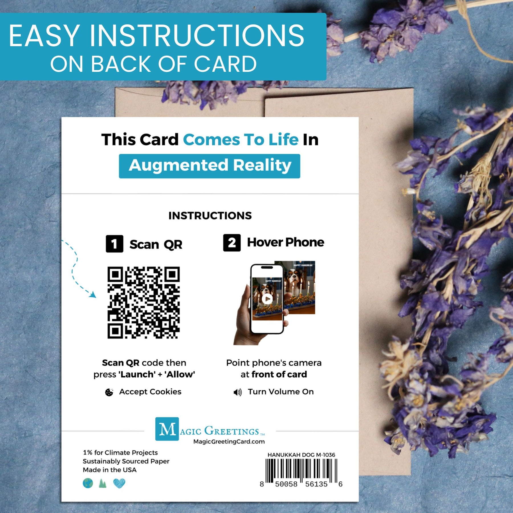 Hanukkah Dog | AR Video Hanukkah Card