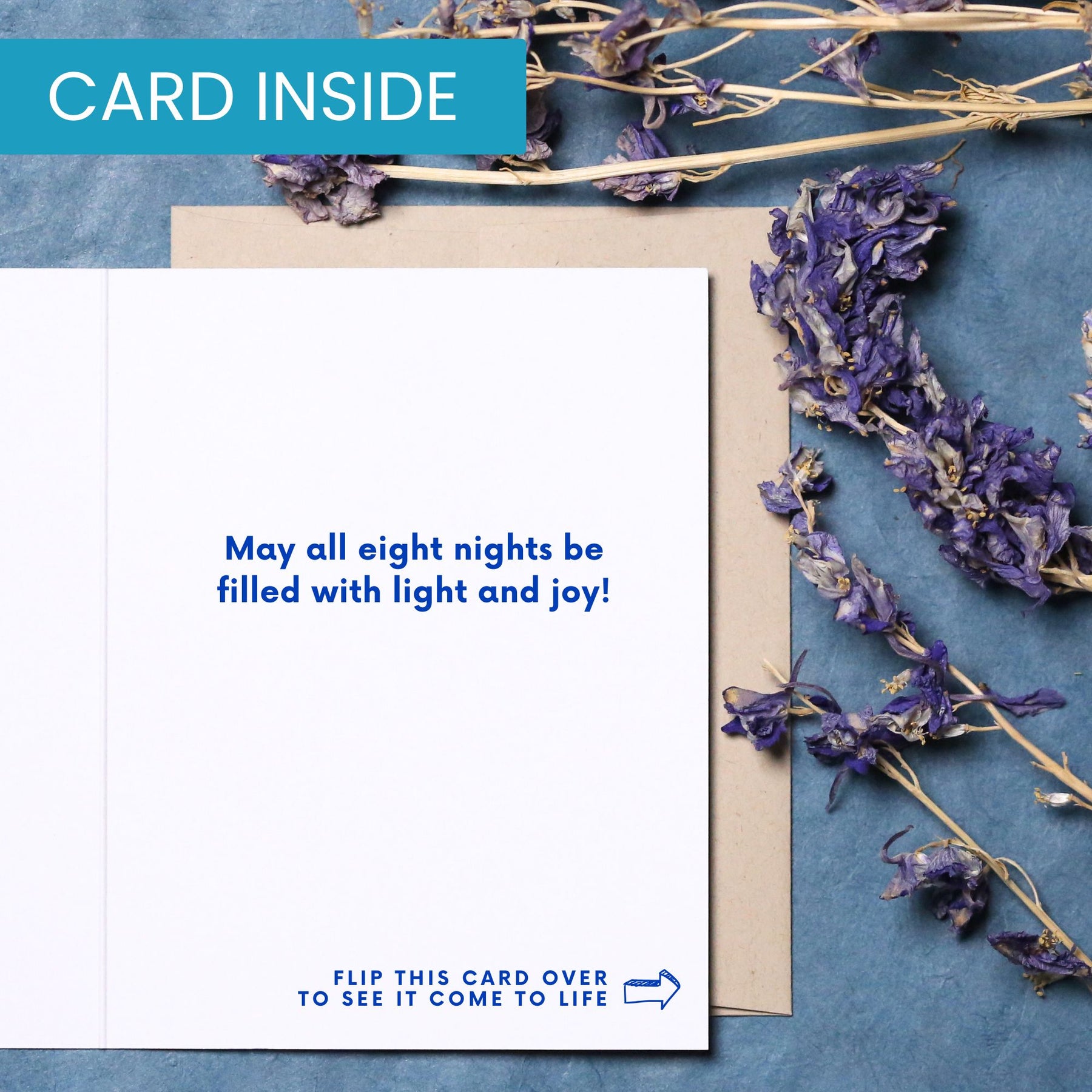 Hanukkah Dog | AR Video Hanukkah Card