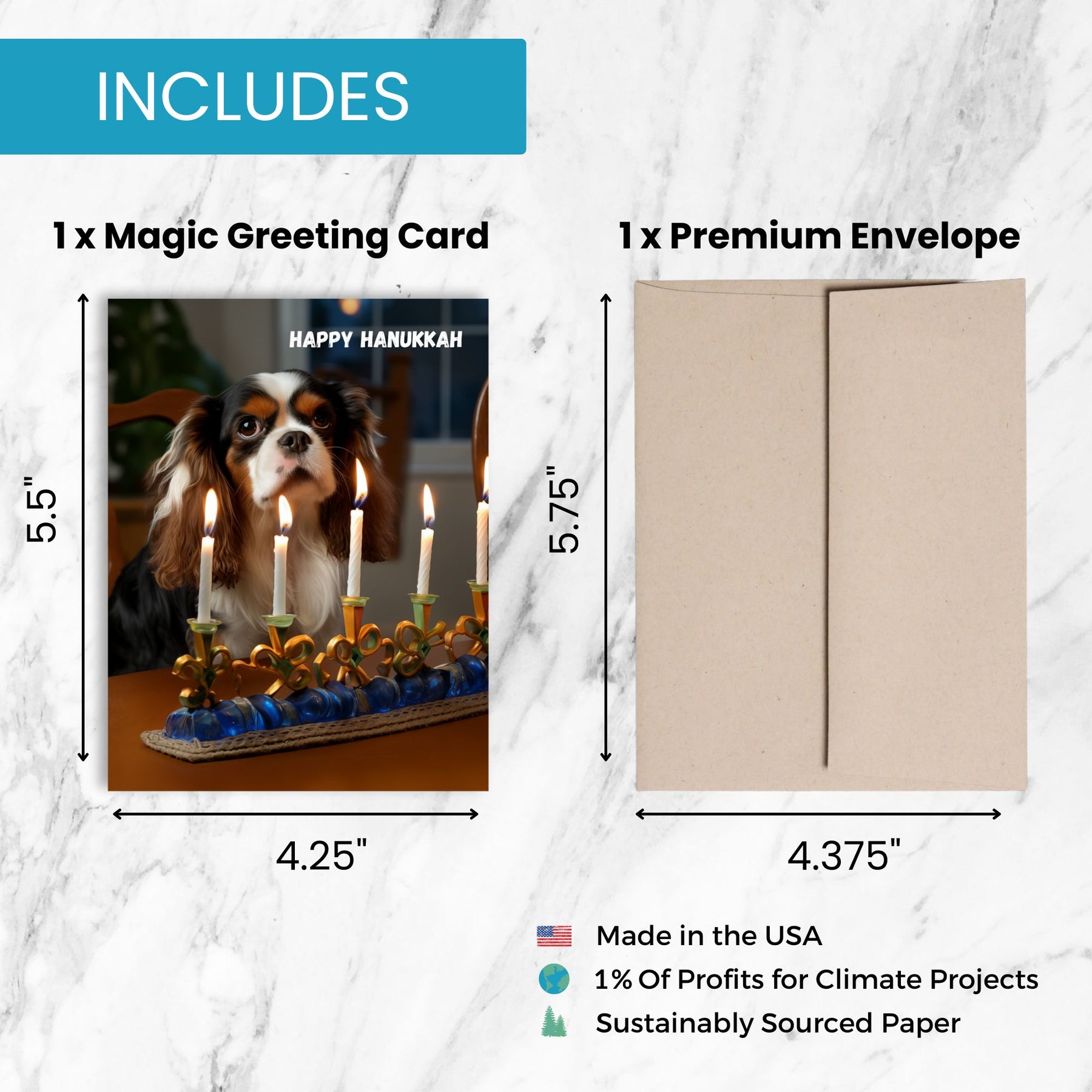 Hanukkah Dog | AR Video Hanukkah Card