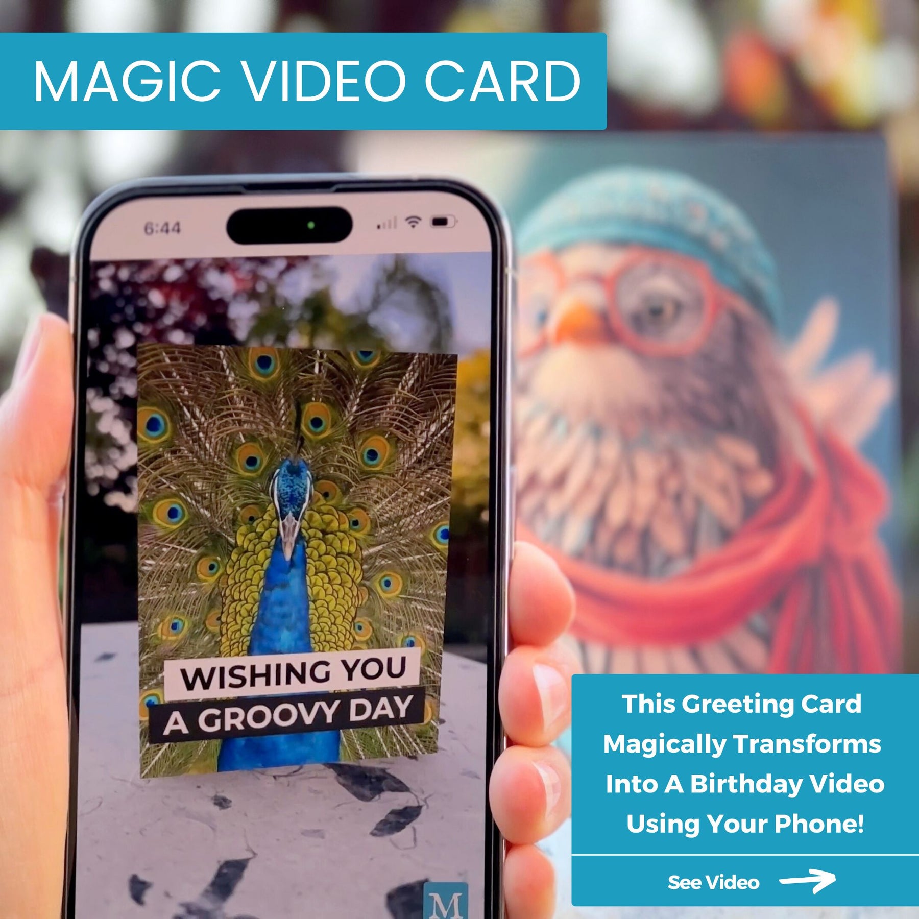 Hippie Bird Day | Magic Birthday Card