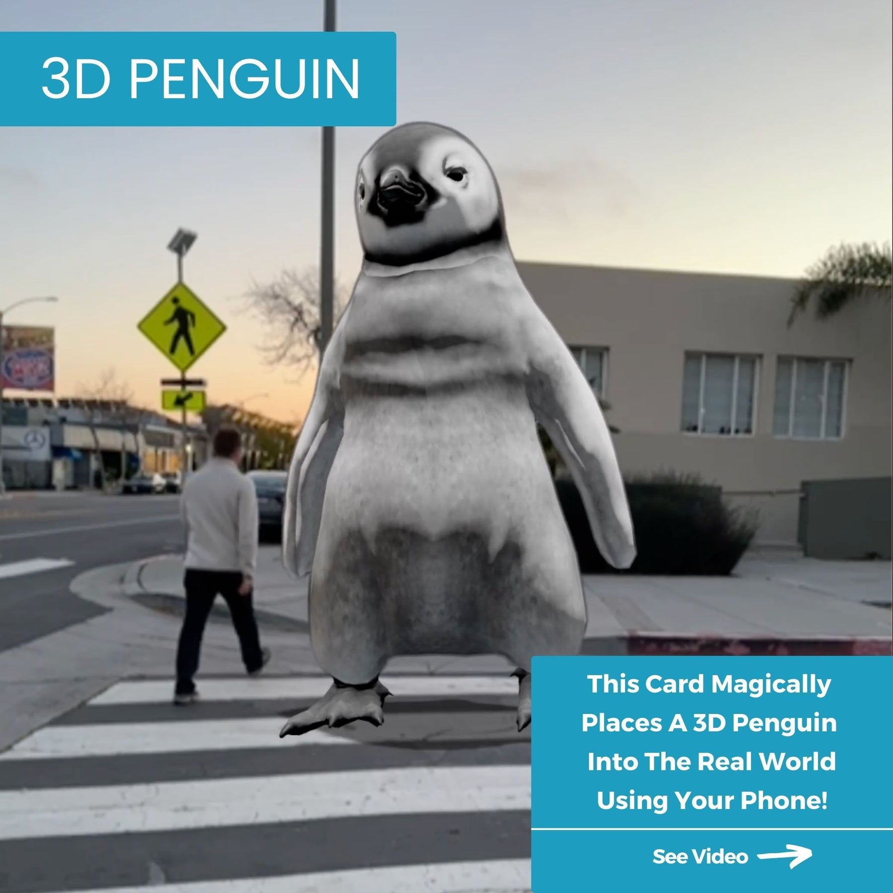 3D Penguin | Magic 3D Birthday Card