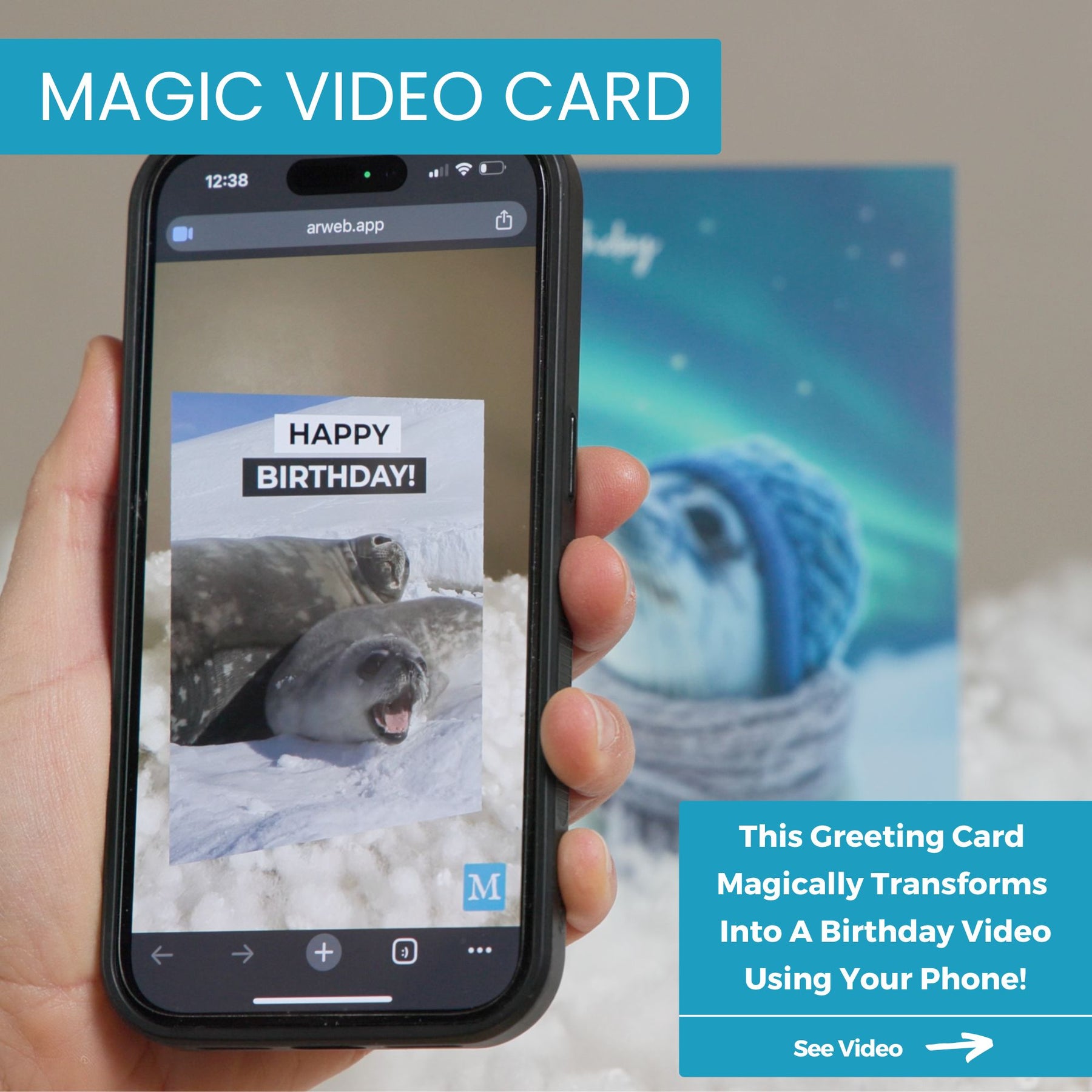 Arctic Seal | Magic Birthday Card