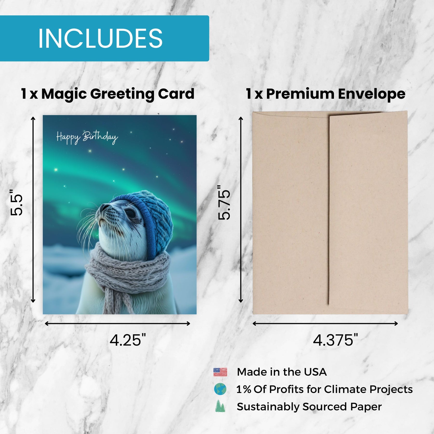 Arctic Seal | Magic Birthday Card