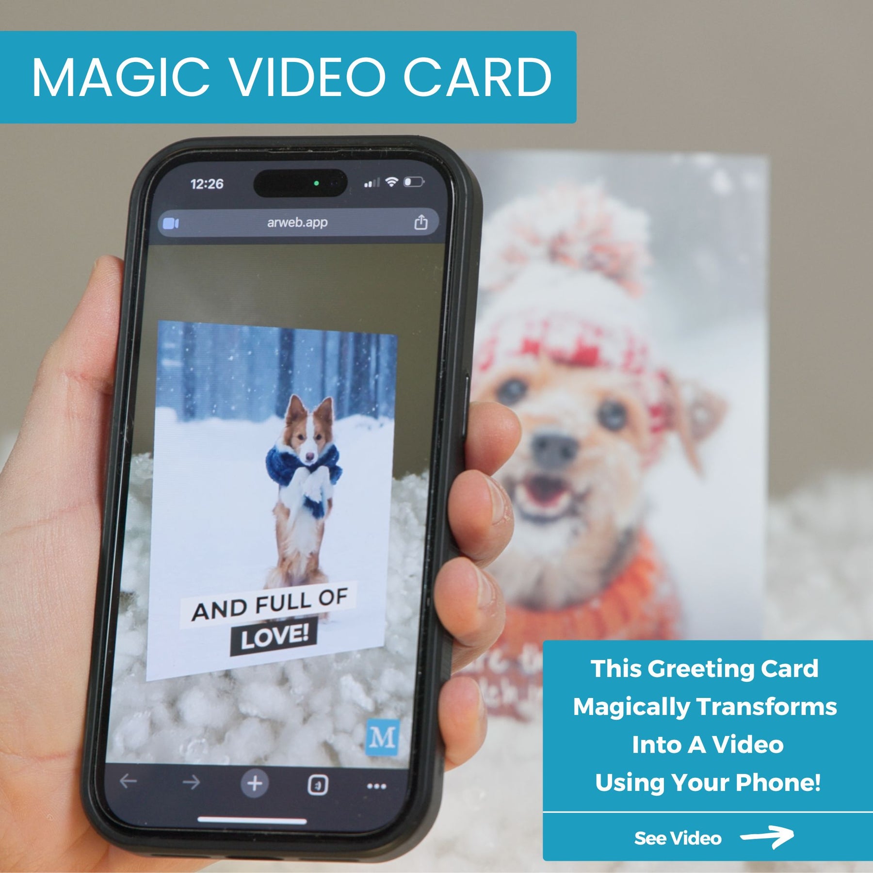 Coolest B*tch Dog | Magic Birthday Card