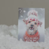 Coolest B*tch Dog | Magic Birthday Card