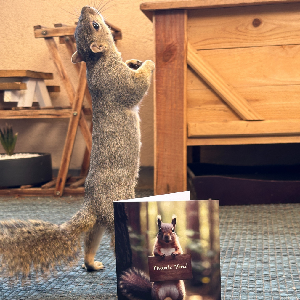 Squirrel Thank You | AR Video Thank You Card