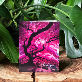 Tree Thank You | AR Video Thank You Card