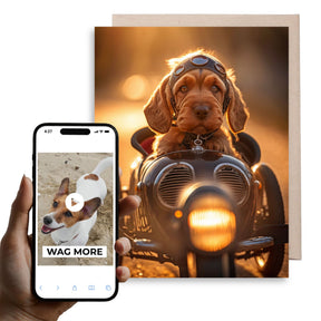 Sidecar Dog | AR Video Inspirational Greeting Card