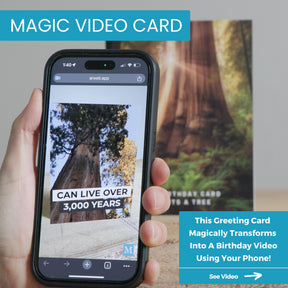 Redwood Plant A Tree | Magic Birthday Card