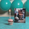Cute Kittens Birthday Greeting Card that comes alive with a video in augmented reality