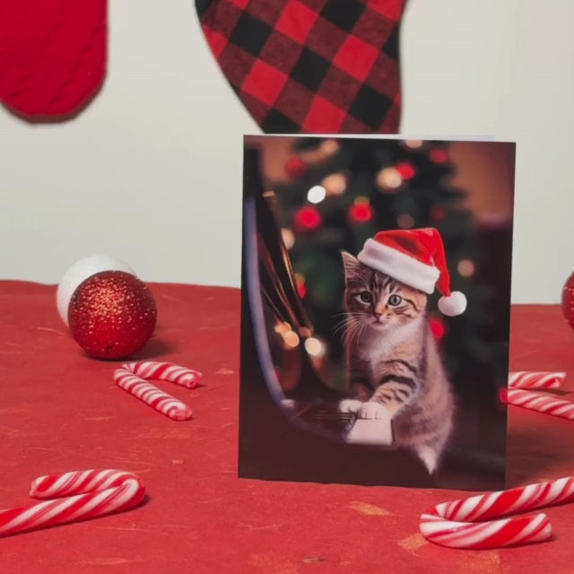 Xmas Piano Cat | AR Video Christmas Card