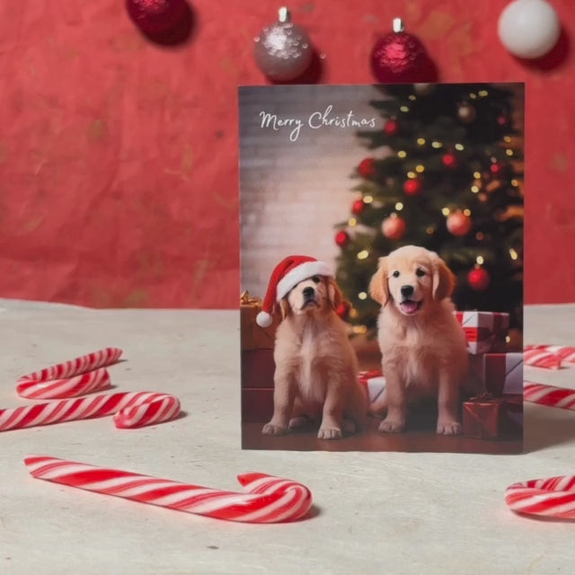 Xmas Puppies | AR Video Christmas Card