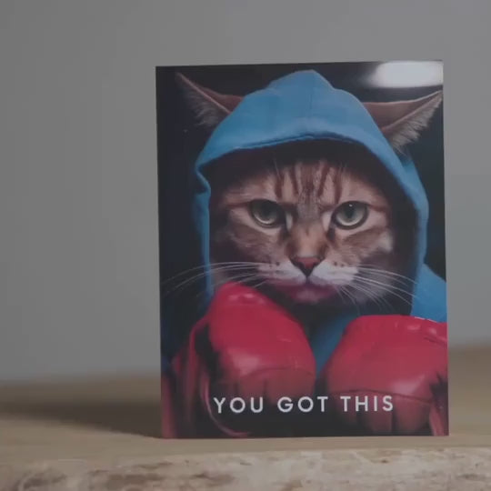 Cat Boxer | Magic Inspiration Card
