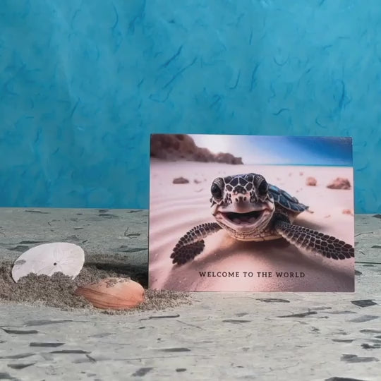 Baby Turtle | Magic New Baby Card