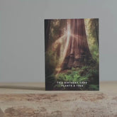 Redwood Plant A Tree | Magic Birthday Card