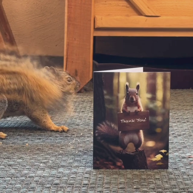 Squirrel Thank You | AR Video Thank You Card