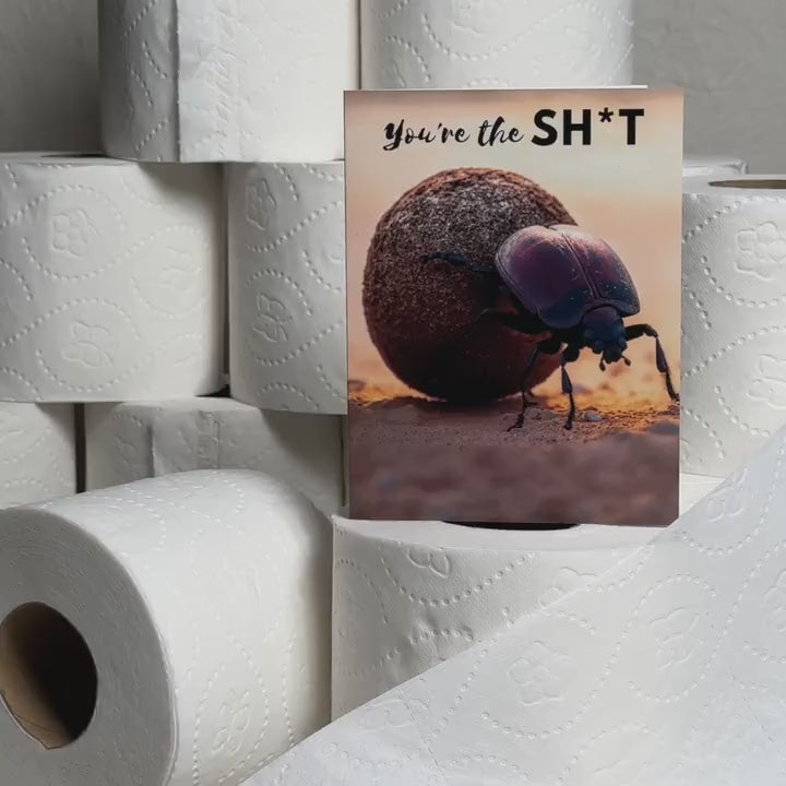Augmented reality greeting card that says "you're the shit" and features dung beetles rolling dung