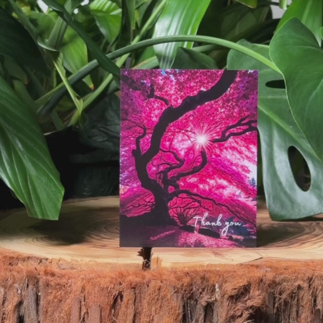 Tree Thank You | AR Video Thank You Card