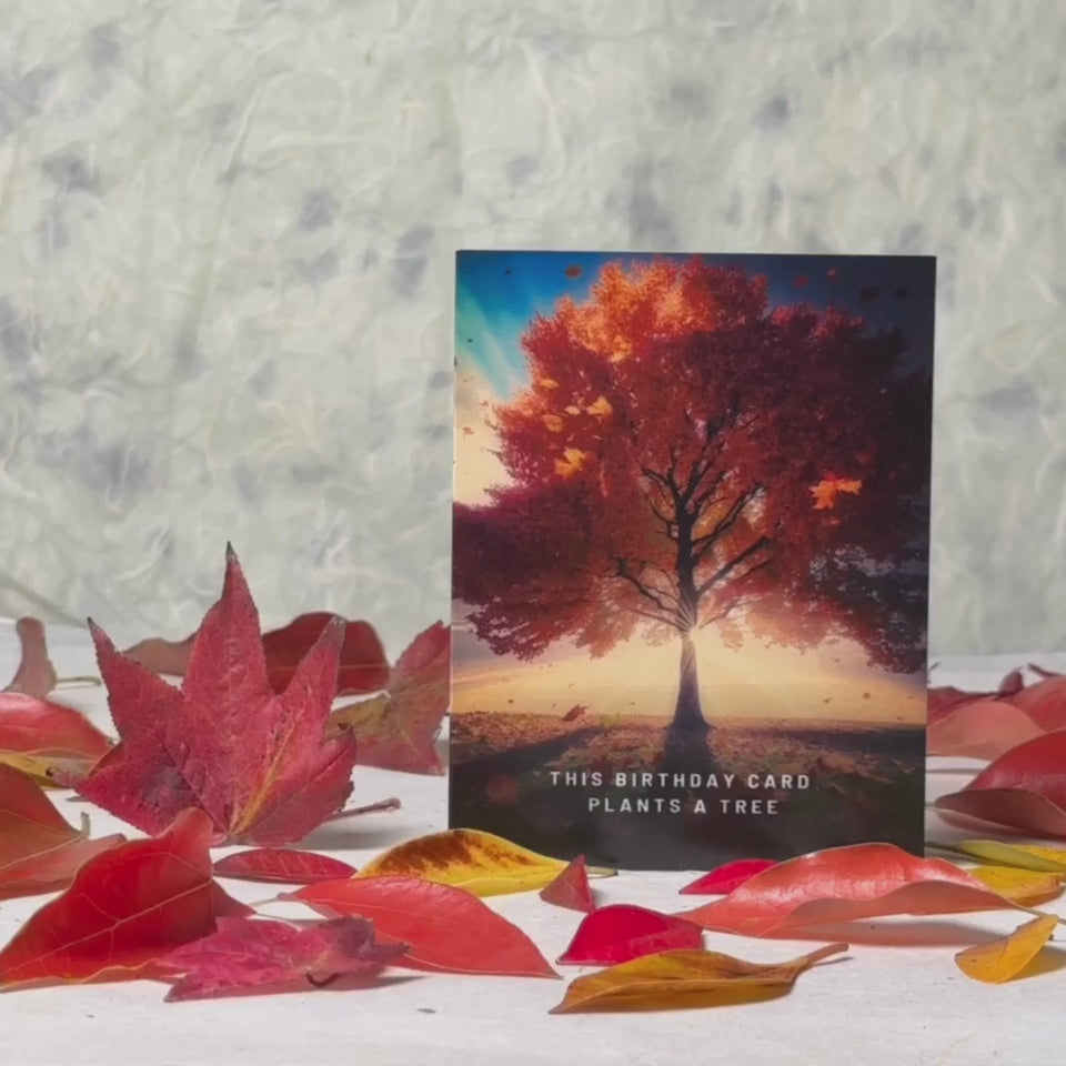 Plant A Tree | Cards That Care | AR Video Birthday Greeting Card