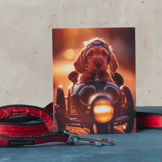 Sidecar Dog | AR Video Inspirational Greeting Card