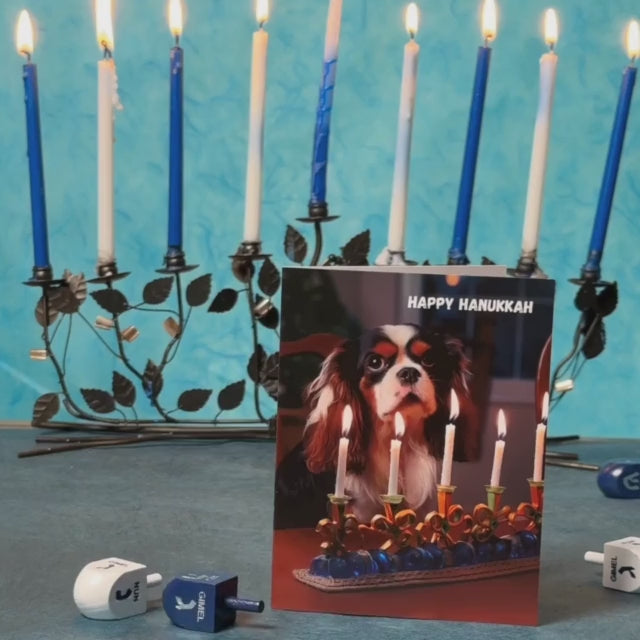 Hanukkah Dog | AR Video Hanukkah Card