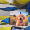 Augmented reality birthday card with a smiling, light colored puppy wearing a party hat in a field