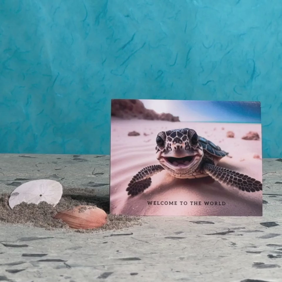 Baby Turtle | Magic New Baby Card
